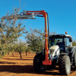 Barredora de Sarmiento Almond Disc