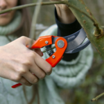 Tijera de poda ALTUNA J469 - Imagen 3