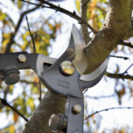 Tijera de poda profesional clásica ALTUNA 0340 - Imagen 2